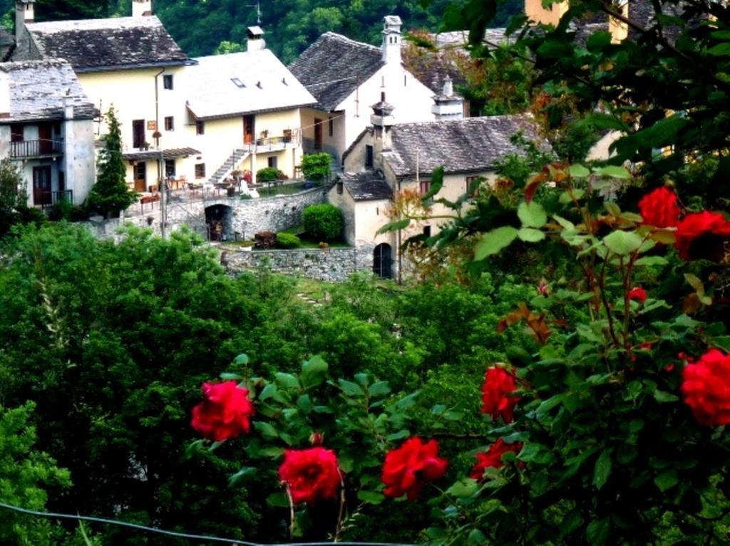 B&B Alpe Veglia Varzo Luaran gambar