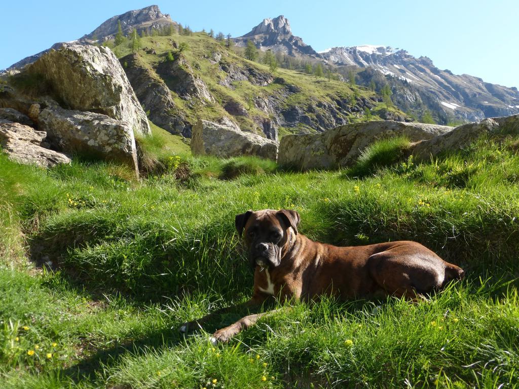B&B Alpe Veglia Varzo Luaran gambar