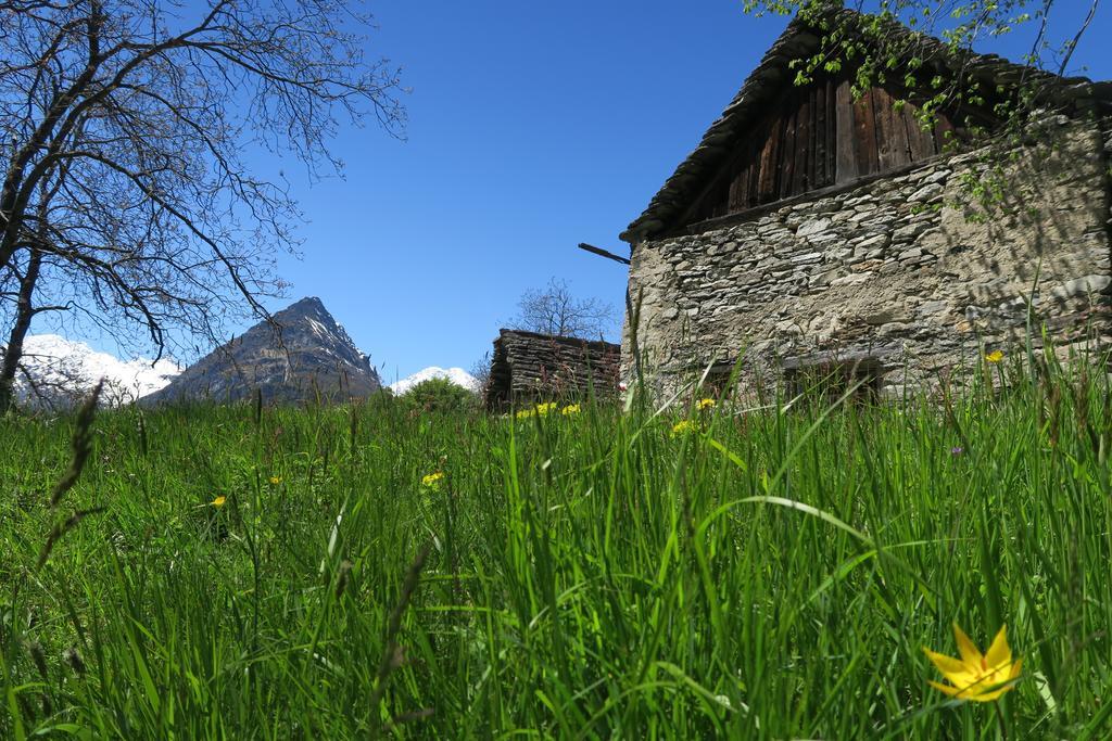 B&B Alpe Veglia Varzo Luaran gambar