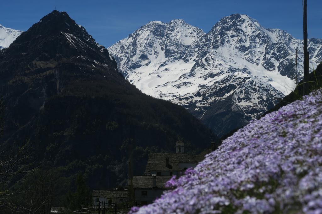 B&B Alpe Veglia Varzo Luaran gambar