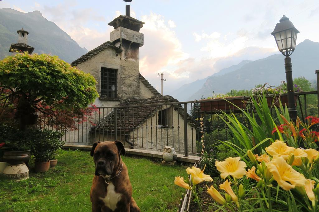 B&B Alpe Veglia Varzo Luaran gambar