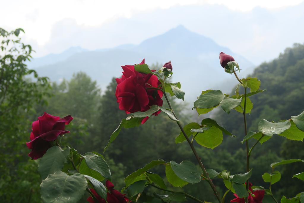 B&B Alpe Veglia Varzo Luaran gambar
