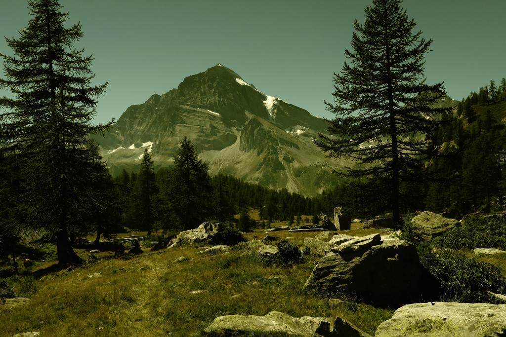 B&B Alpe Veglia Varzo Luaran gambar