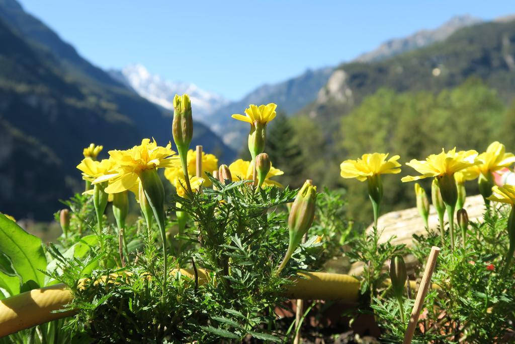 B&B Alpe Veglia Varzo Luaran gambar