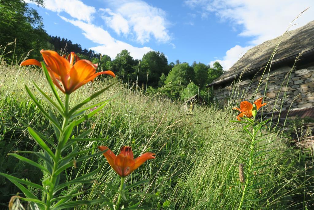B&B Alpe Veglia Varzo Luaran gambar