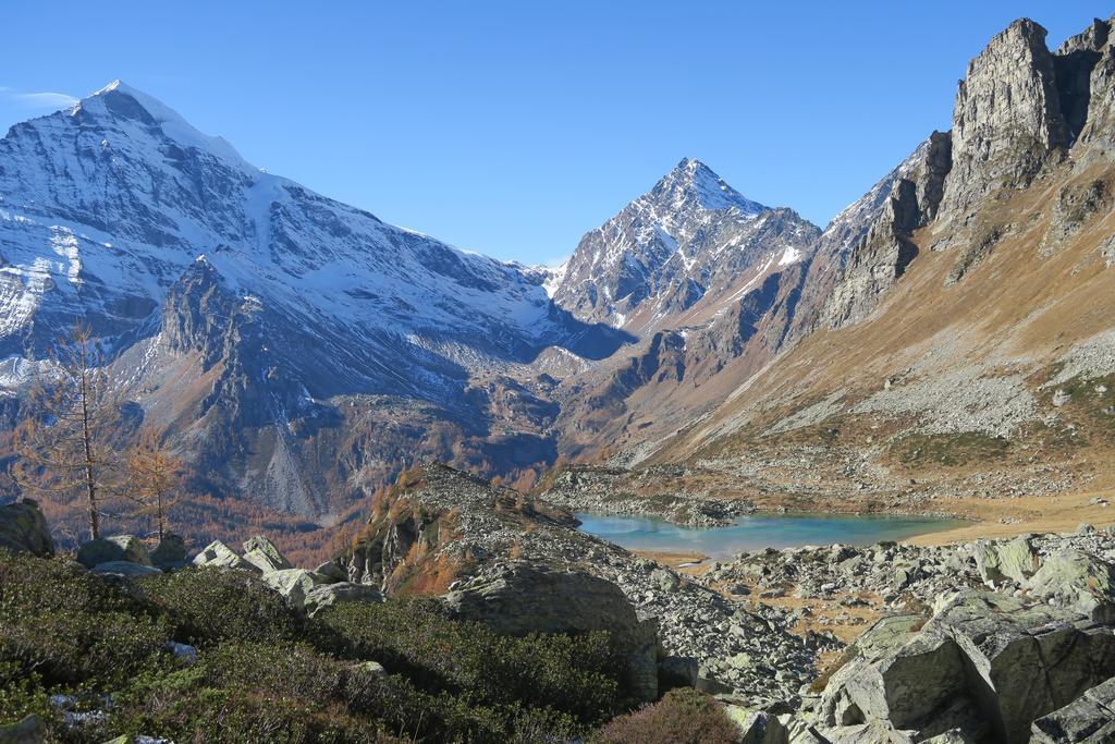 B&B Alpe Veglia Varzo Luaran gambar