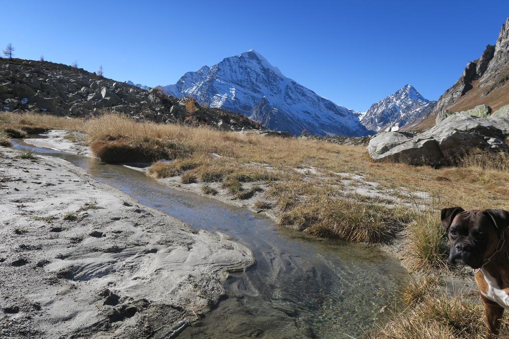 B&B Alpe Veglia Varzo Luaran gambar
