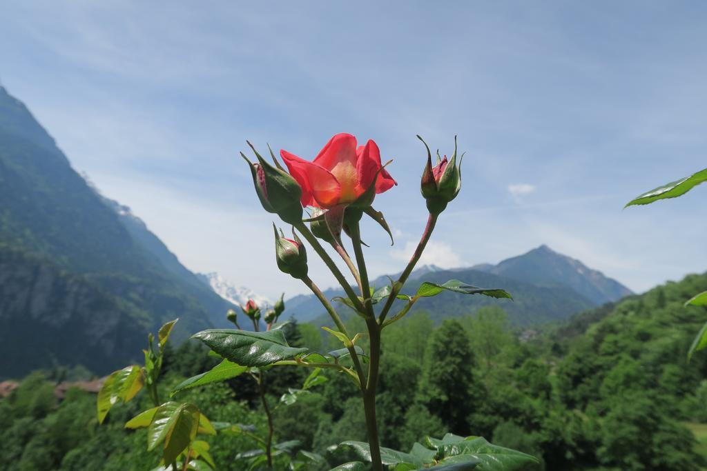 B&B Alpe Veglia Varzo Luaran gambar
