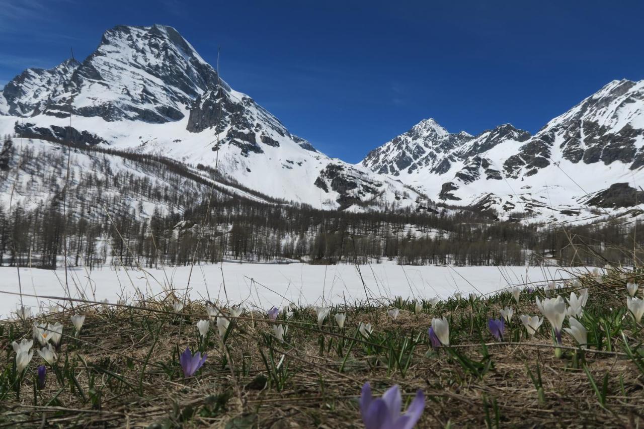 B&B Alpe Veglia Varzo Luaran gambar