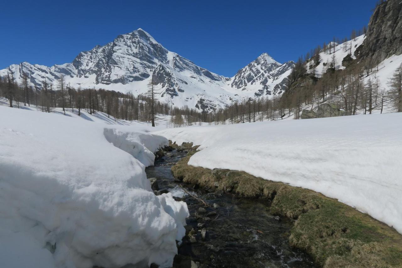 B&B Alpe Veglia Varzo Luaran gambar